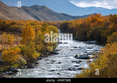 Fluss Atna bei Dørålseter / Doralseter im Rondane Nationalpark in Herbst, Dovre, Norwegen, Skandinavien Stockfoto