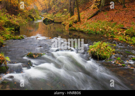 Kamnitz Schlucht / Soutěsky Kamenice in der Böhmischen Schweiz im Herbst, Region Ústí Nad Labem / Straße Region, Tschechische Republik Stockfoto