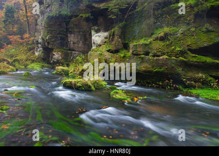 Kamnitz Schlucht / Soutěsky Kamenice in der Böhmischen Schweiz im Herbst, Region Ústí Nad Labem / Straße Region, Tschechische Republik Stockfoto