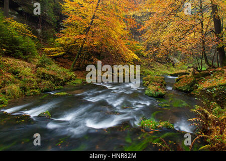 Kamnitz Schlucht / Soutěsky Kamenice in der Böhmischen Schweiz im Herbst, Region Ústí Nad Labem / Straße Region, Tschechische Republik Stockfoto