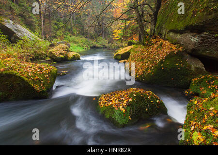 Kamnitz Schlucht / Soutěsky Kamenice in der Böhmischen Schweiz im Herbst, Region Ústí Nad Labem / Straße Region, Tschechische Republik Stockfoto