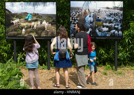 Festival Foto 2015 La Gacilly Fotografie-Ausstellung in la Gacilly im französischen Morbihan (56), Gastland: Italien, Thema: den Planeten ernähren Stockfoto