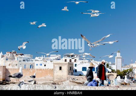 Stock Foto - Möwen-Kreis um den Fischern am Kai von der Skala De La Ville in Essaouira in Marokko, Nordafrika Stockfoto