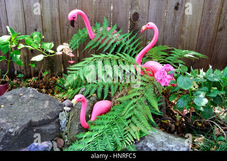 Drei kitschigen rosa Flamingos mit Farnen. Stockfoto