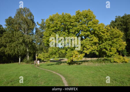 Köln, Deutschland - 31. August 2015 - Jogger, Spaziergänger und Radfahrer in städtischen Parks und Naherholungsgebiet in Köln nutzen Sie freie Zeit zur Erholung in Stockfoto