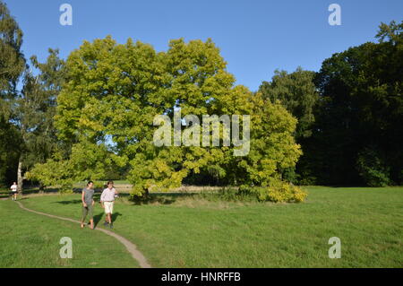 Köln, Deutschland - 31. August 2015 - Jogger, Spaziergänger und Radfahrer in städtischen Parks und Naherholungsgebiet in Köln nutzen Sie freie Zeit zur Erholung in Stockfoto