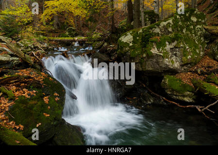 Wie von Zauberhand Coloful Herbst in einem wilden alten Waldpark mit einem reinen Strom Kaskadierung den Berg hinunter. Stockfoto