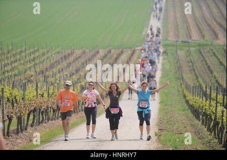 Geisenheim, Deutschland - 3. Mai 2009 - Wanderer Teilnahme an einen Wein Spaziergang vorbei an Reben in Rheingau Deutschland Stockfoto