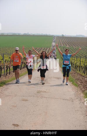 Geisenheim, Deutschland - 3. Mai 2009 - Wanderer Teilnahme an einen Wein Spaziergang vorbei an Reben in Rheingau Deutschland Stockfoto