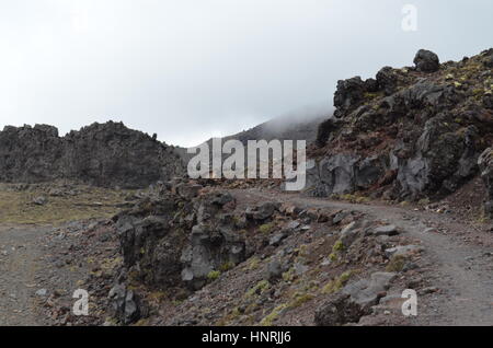 Felsiges Gelände an der Mt Ruapehu, Neuseeland Stockfoto