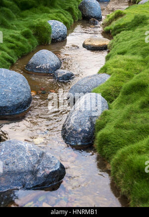 Felsen in der Bucht von Rasen umgeben. Stockfoto