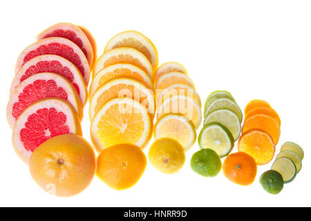 Bunte Scheiben Zitrusfrüchte in Reihen isoliert auf weißem Hintergrund aufgestellt. Grapefruit, Marine Orange, Zitrone, Limette, Cuties Clementine und einen Key lime Stockfoto