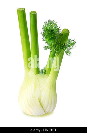 Frischer Fenchel Birne isoliert auf weißem Hintergrund Stockfoto