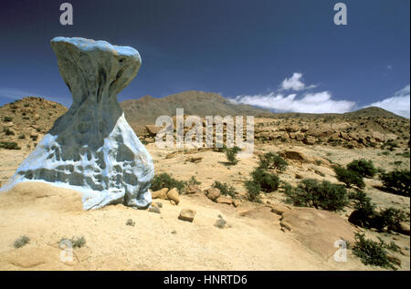 Gemalte Felsen des belgischen Künstlers Jean Verame und ein Arganbaum (Argania Spinosa), in der Nähe von Tafraoute, Anti-Atlas, Südmarokko Stockfoto