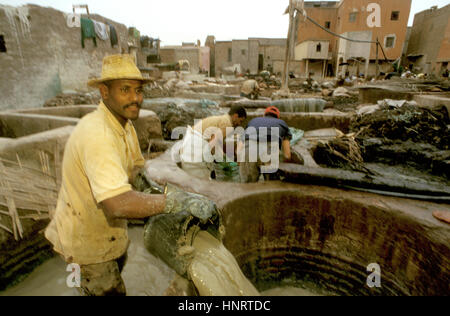 Männer arbeiten bei einer Gerberei in alten Medina, Marrakesch, Marokko, Nordafrika, Afrika Stockfoto