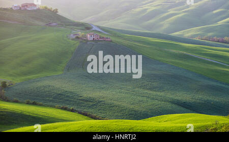 Toskana, grüne Landschaft und sanften Hügeln. Italien Stockfoto