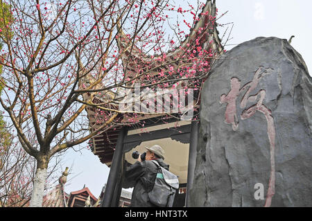 Der chinesischen Nanchang, Jiangxi Provinz. 16. Februar 2017. Ein Tourist nimmt Fotos von Pflaumenblüten an Taiyanggu Aussichtspunkt in Nanchang, Hauptstadt der Osten Chinas Jiangxi Provinz, 16. Februar 2017. Bildnachweis: Wan Xiang/Xinhua/Alamy Live-Nachrichten Stockfoto