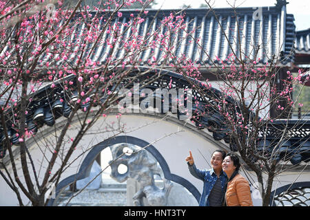 Der chinesischen Nanchang, Jiangxi Provinz. 16. Februar 2017. Touristen posieren für ein Foto mit Pflaumenblüten in Taiyanggu Aussichtspunkt in Nanchang, Hauptstadt der Osten Chinas Jiangxi Provinz, 16. Februar 2017. Bildnachweis: Wan Xiang/Xinhua/Alamy Live-Nachrichten Stockfoto