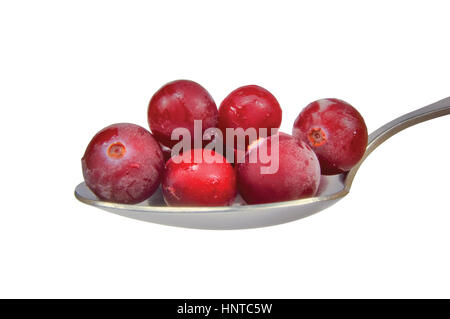 Löffel von frisch gefrorenen Preiselbeeren isoliert auf weißem, detaillierte Makro Nahaufnahme Stockfoto