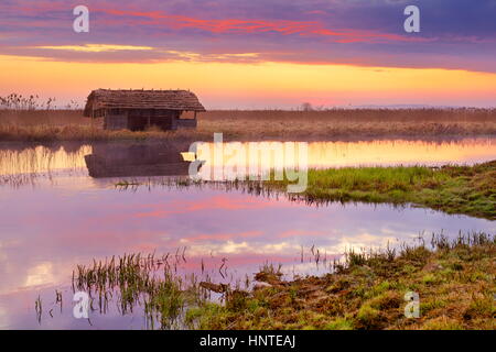 Sunrise Landschaft, Narew Nationalpark, Polen Stockfoto