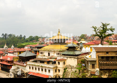 Ansicht von Pashupatinath Tempel Bereich, Kathmandu, Nepal Stockfoto