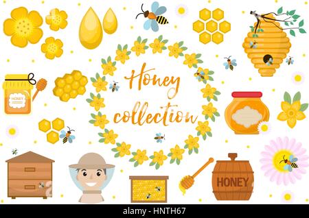 Honig-Sammlung. Imkerei Objektmenge isoliert auf weißem Hintergrund. Imkerei-Bausatz des Design-Elemente flach, Cartoon-Stil. Vektor-Illustration, Clip-Art. Stock Vektor