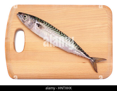 Frische Makrele Fisch Verlegung auf hölzernen Hackstock Brett, Isolated on White Background Stockfoto