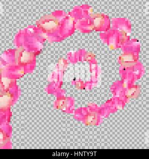 Spirale des Fliegens Rosenblüten. Realistic vector rosa große Blüten auf transparentem Hintergrund. Stock Vektor