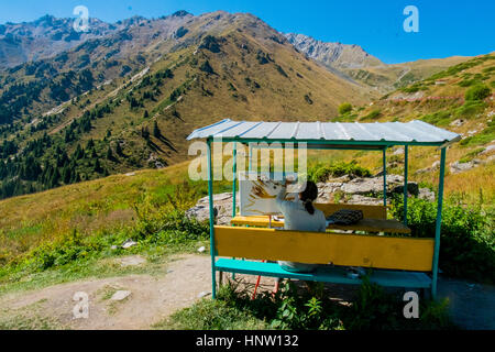 Kaukasische Frau Gemälde Berglandschaft Stockfoto