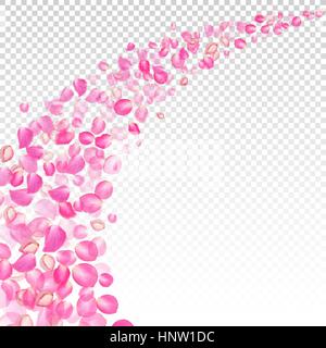Der Wind Rosenblätter verweht. Realistische Vektor rosa Blütenblätter auf transparentem Hintergrund. Stock Vektor
