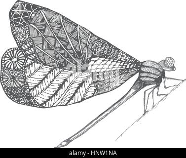 Dragonflie. Schöne handgezeichnete Grafik Graustufen-Darstellung Stock Vektor
