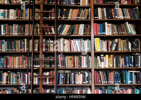 Leiter auf Bibliothek Bücherregal Stockfoto