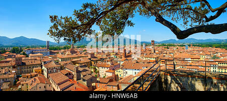 Roof Top Blick vom Torre Guinigi Turm in der Altstadt von Lucca, Toskana, Italien Stockfoto