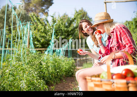 Zwei junge weibliche Gärtner Essen Tomaten auf Bio-Bauernhof Stockfoto