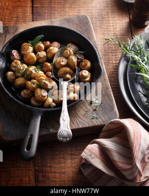 Estragon-Champignons in der Pfanne Stockfoto