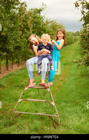 Geschwister auf Trittleiter im Apfelgarten Stockfoto
