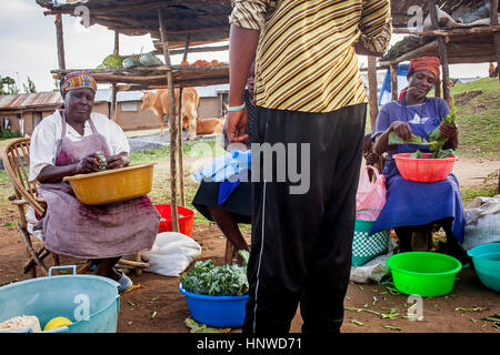 Frauen Gemüse putzen, Greengrocery im Fischerdorf Kolunga, Rusinga Island, Lake Victoria, Kenia, Afrika Stockfoto