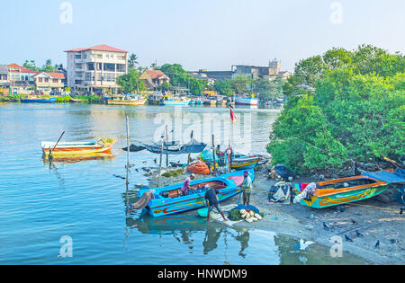 NEGOMBO, SRI LANKA - 25. November 2016: Die Fischer nehmen Sie Fische aus den Netzen und Netze zum Boot im Hafen, befindet sich in der Lagune, am 25 November in Falten Stockfoto