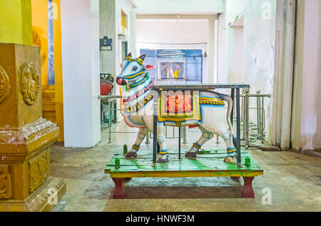 MUNNESWARAM, SRI LANKA - 25. November 2016: Die Skulptur des Heiligen Stier Nandi benannt auch Basava (Fahrzeug des Lords Shiva), befindet sich in Munneswaram K Stockfoto