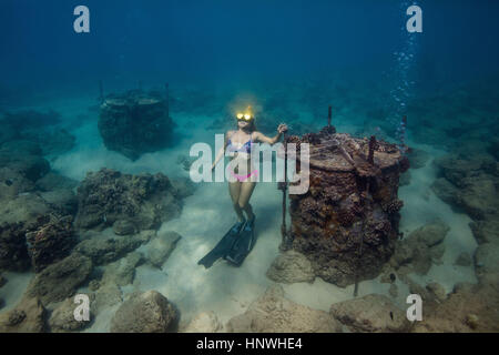 Unterwasser-Blick der Frau am Meeresboden Schnorcheln, Oahu, Hawaii, USA Stockfoto