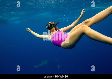 Unterwasser-Blick von Frau Schnorcheln mit dem Meeresleben, Oahu, Hawaii, USA Stockfoto