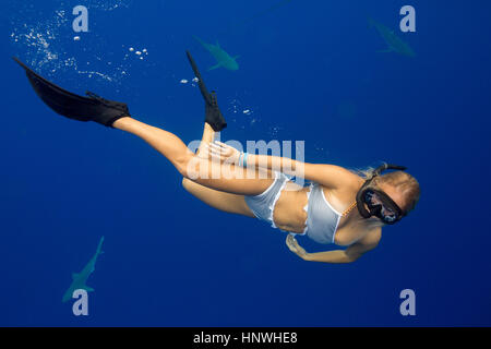 Unterwasser-Blick von Frau Schnorcheln mit dem Meeresleben, Oahu, Hawaii, USA Stockfoto