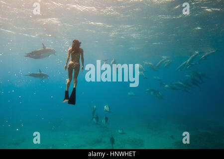 Unterwasser-Blick von Frau Schnorcheln mit dem Meeresleben, Oahu, Hawaii, USA Stockfoto