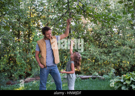 Vater Tochter Reichweite Apfel am Baum zu helfen Stockfoto