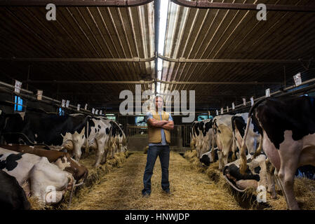 Porträt der Landwirt im Kuhstall Stockfoto