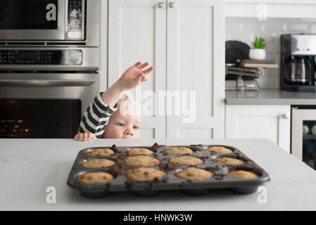 Kleiner Junge erreichen bis zu frisch gebacken im Backblech verkrustet Stockfoto