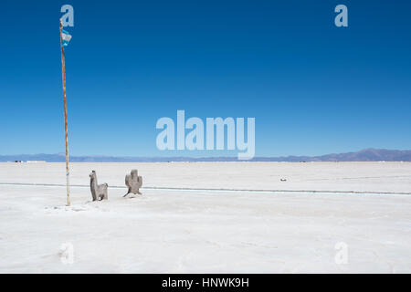 Salinas Grandes und Symbole (Flagge von Argentinien, Lama und Kakteen) Stockfoto