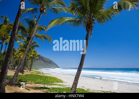 Strand-Landschaft mit Palmen und den Indischen Ozean, Insel La Réunion Stockfoto