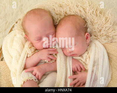 Entzückende Neugeborene eineiigen Zwilling Baby Mädchen schlafen in einem weichen Korb Stockfoto