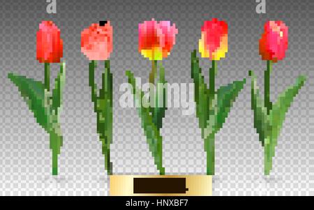Realistische Vektor Tulpen Set. Nicht die Spur. Der Zuschnitt für Ihr Design. Rote Tulpen Blumen auf transparentem Hintergrund. Stock Vektor